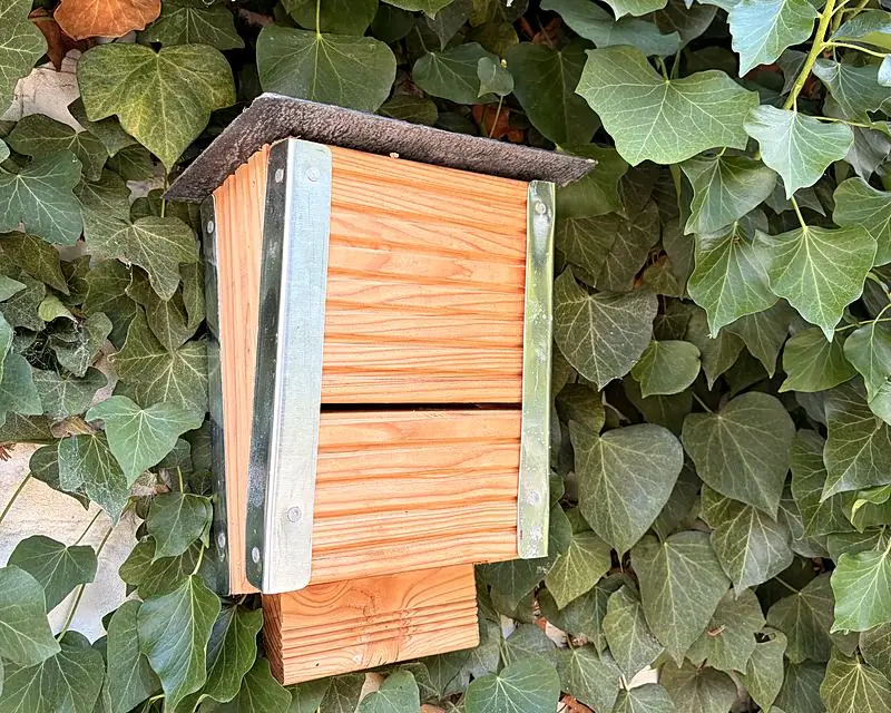 Nichoir à chauves-souris en bois