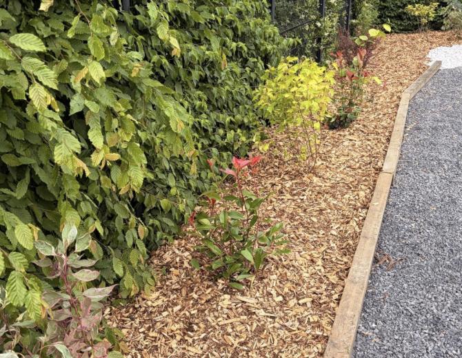 Allée en gravier stabilisé bordée de copeaux et de bois de délimitation