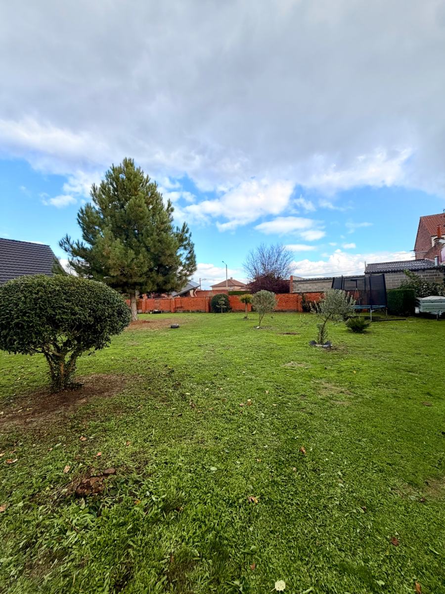 Grande pelouse tondue avec arbres et arbustes taillés