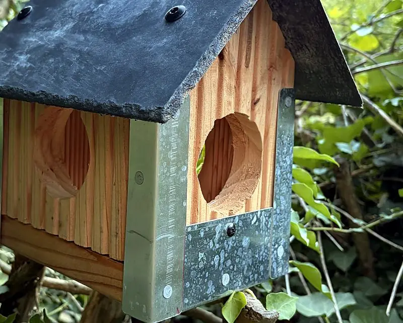 Nichoir à oiseaux en bois et ardoise