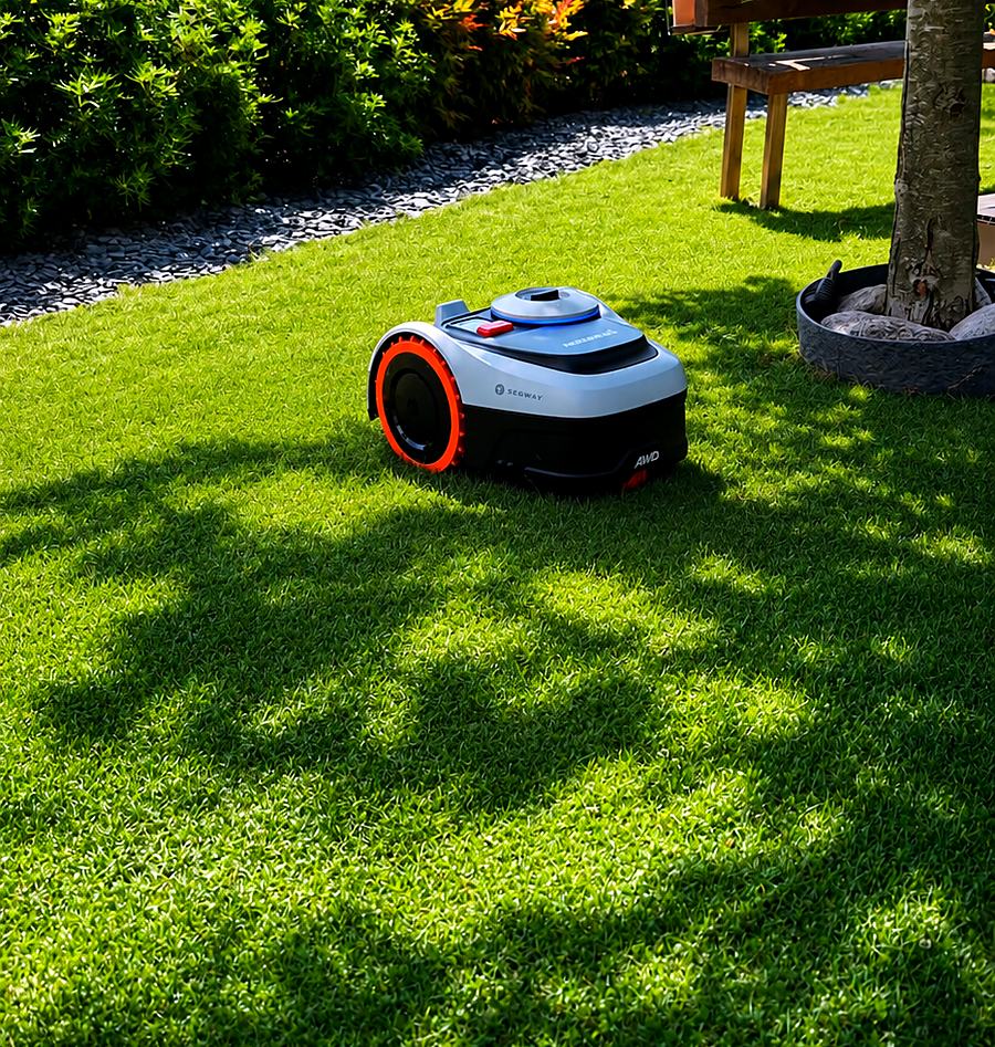 Robot tondeuse sur une pelouse et massifs d’arbustes
